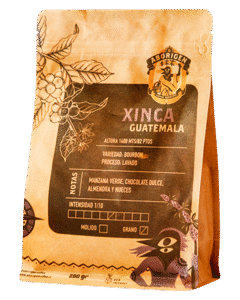 Xinca