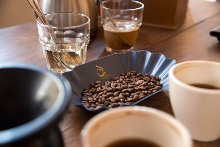 cata-de-café-2-aborigen